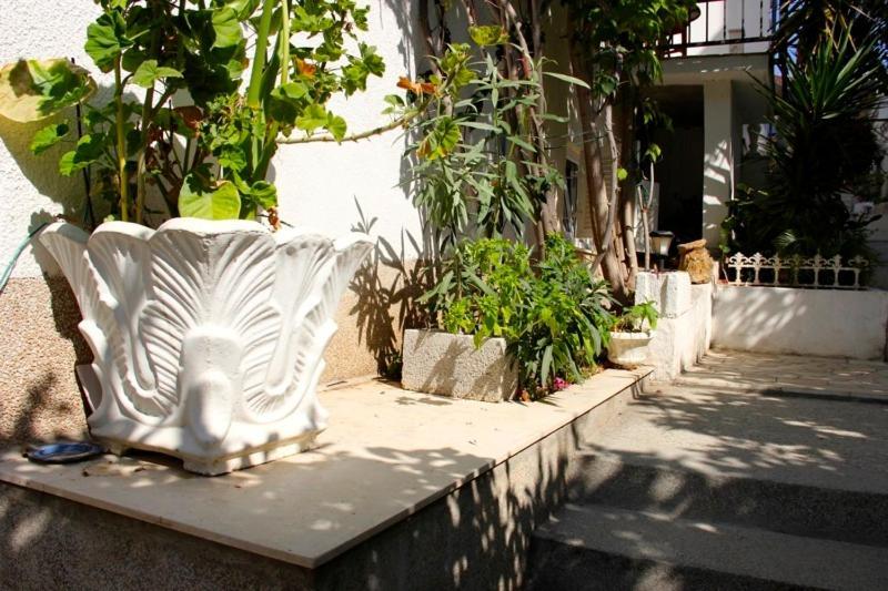 Apartments Jasmin トロギール エクステリア 写真